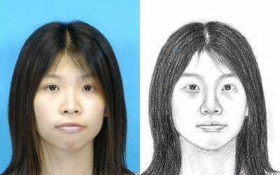 Sketch based image recognition